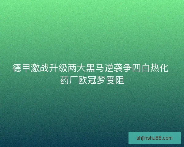 德甲激战升级两大黑马逆袭争四白热化 药厂欧冠梦受阻